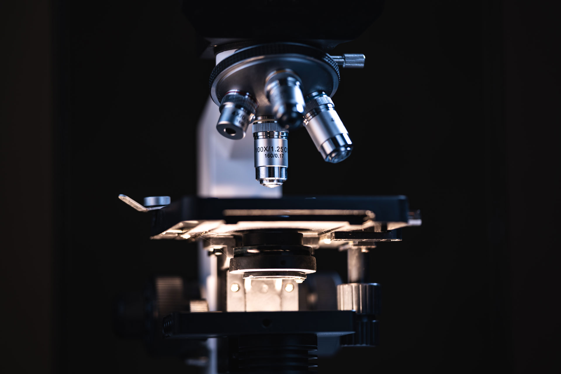 Cover visual for Ultrasonographic examination of the collateral ligaments of the distal interphalangeal joint in horses: Part A — Technique and normal images